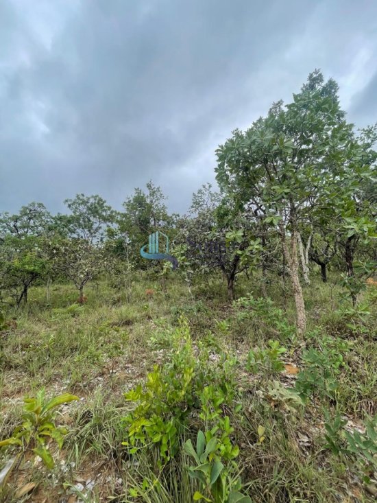 terreno-venda-tres-marias-1082477
