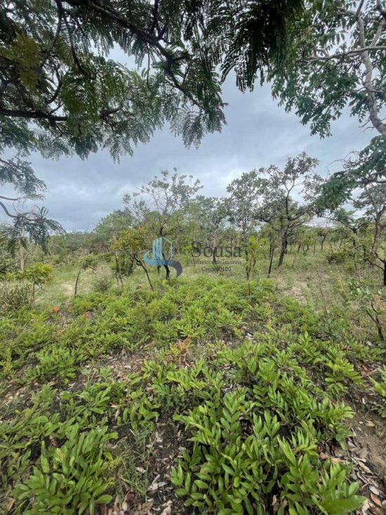 terreno-venda-tres-marias-1082463