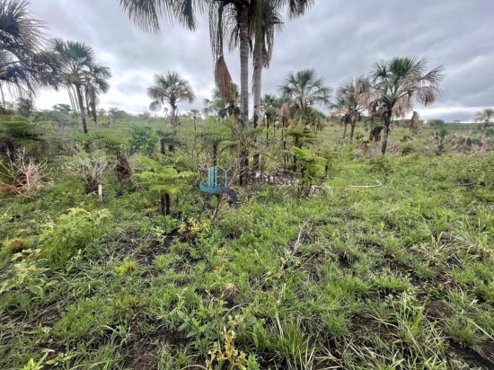 terreno-venda-tres-marias-1082464