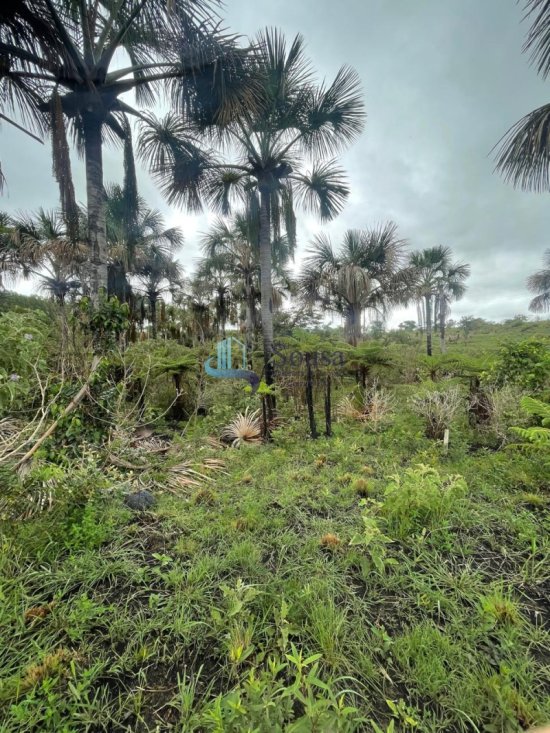 terreno-venda-tres-marias-1082467