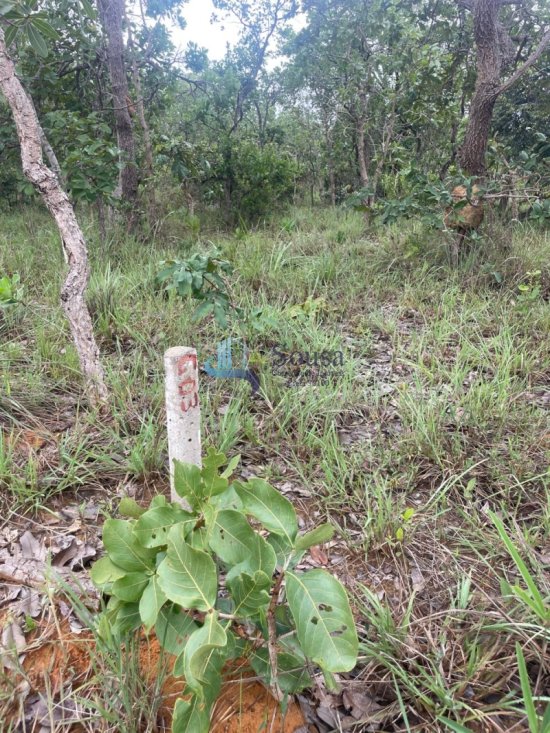 terreno-venda-tres-marias-1082480