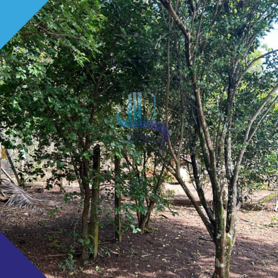 chacara-venda-vinhatico-esmeraldas-mg-1021336