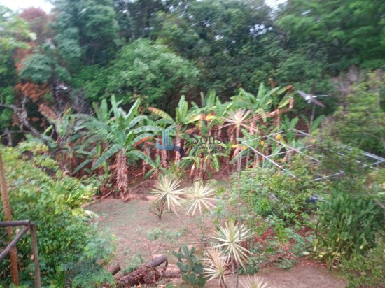 sitio-venda-estancias-flores-e-florestas-betim-1101462