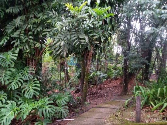 sitio-venda-estancias-flores-e-florestas-betim-1101465