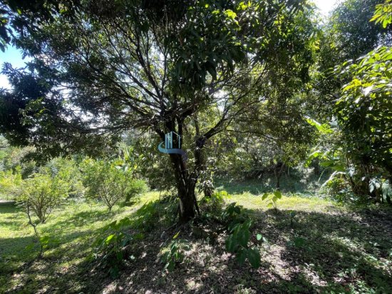 chacara-venda-quintas-do-godoy-betim-1079591